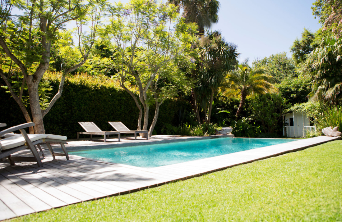 Refresh Lawn and Garden Areas