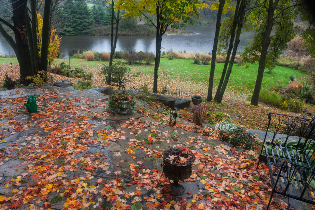 Prepping Your Backyard for Fall